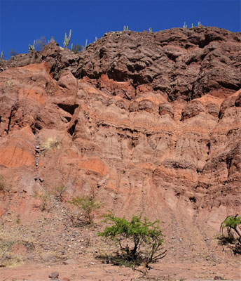 Eine farbige Berglandschaft......