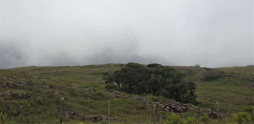 Dichter Nebel verhinderte den Ausblick.