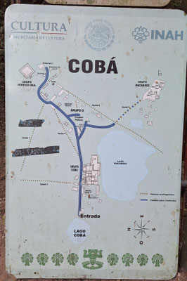 ...Goba.