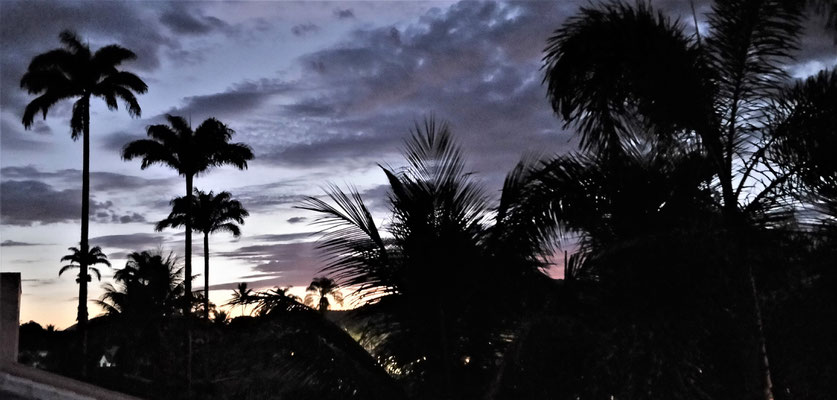 Morgenstimmung von unserer Terrasse.