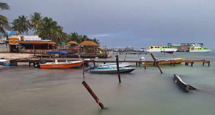 Letzter Tag in Caye Caulker....