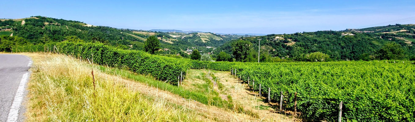 .....der Langhe.