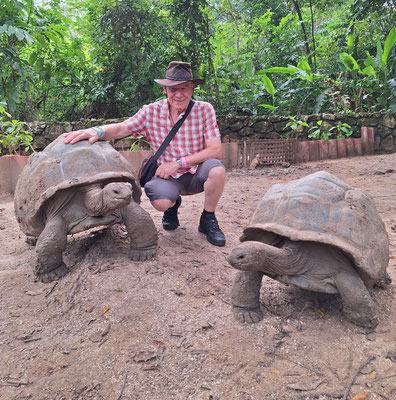 Riesenschildkröten