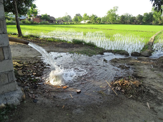 Reisfelderbewässerung
