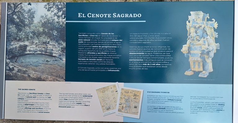 Die heilige Cenote