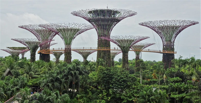 ....Gardens by the Bay....