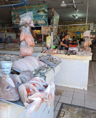 ...mit frischem Fisch.
