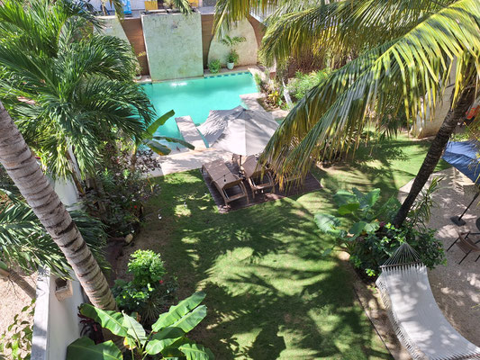 ...und der Blick in den Garten.