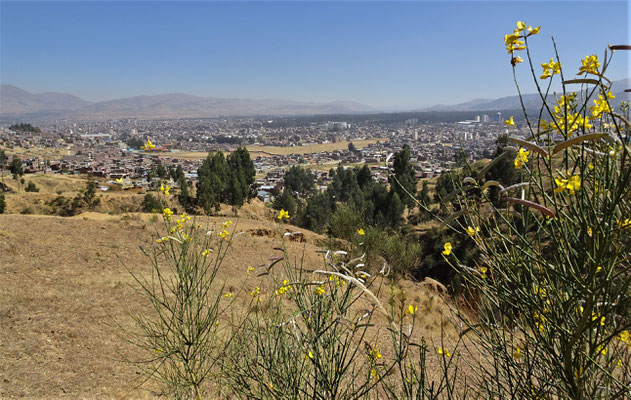 Der Blick auf Huancayo.