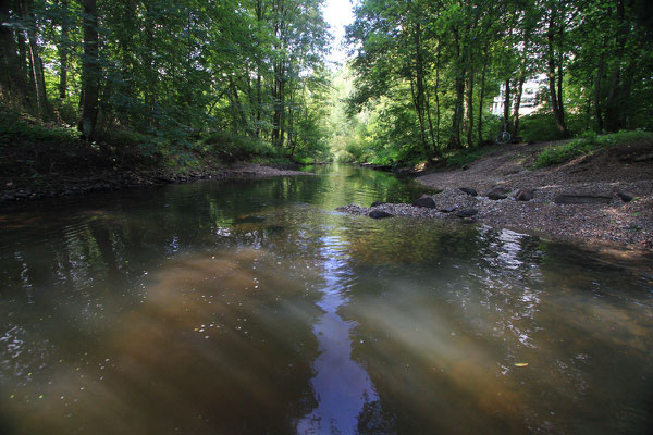 Nach dem Einbau des Kieses hat sich die Strömungsgeschwindigkeit deutlich erhöht. Bei genauer Betrachtung erkennt man die "Kiesnase" vor dem Geröll-Lenker (Foto: A. Lampe).