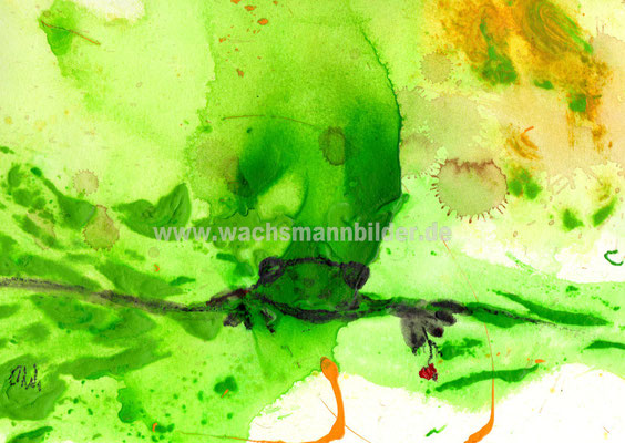 betrunkener Frosch - Bild