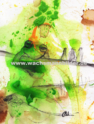 Froschbilder malen lassen - Wachsmann - grün - gelb Frösche