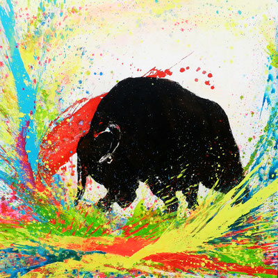 Bild Stier bunt Auftragsbild