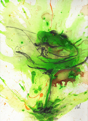bekiffter Frosch - Bild