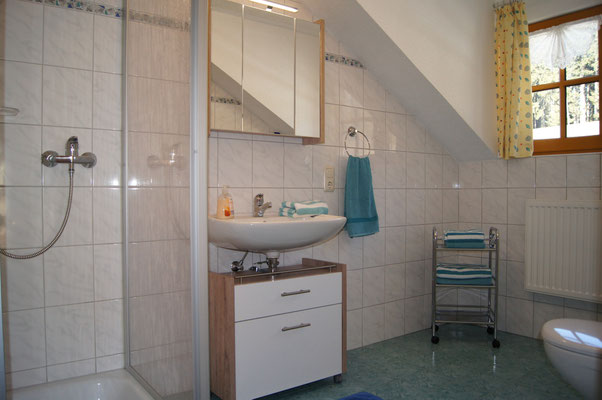 Badezimmer eins der Ferienwohnung 2