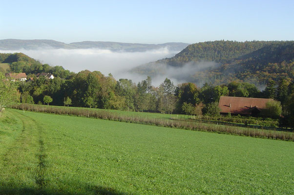 Herbst auf dem Biohof Rüebisberg