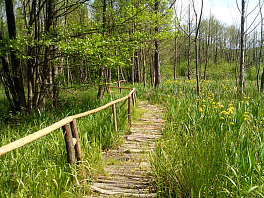 Wanderpfad durch den kleinen Naturpark Slamener Kuthen