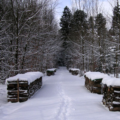 Winterwanderungen im Mittlland
