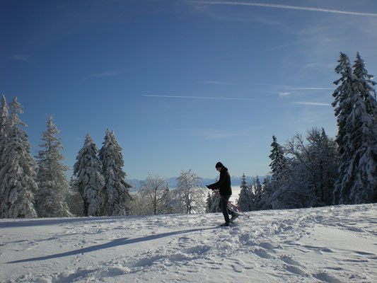 Schneeschuhtouren Jura