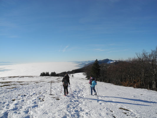 Wander Jura