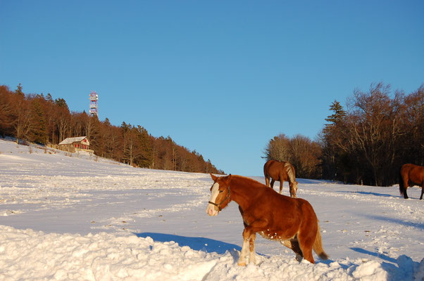 Skifahren Grenchenberg