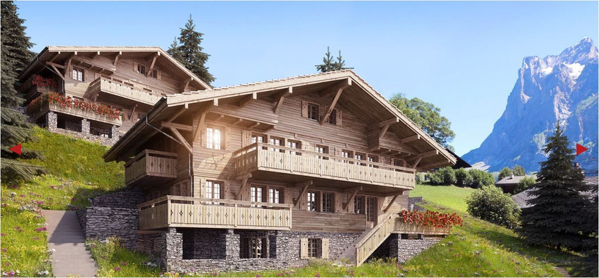 Chalet Jungfrau Region kaufen