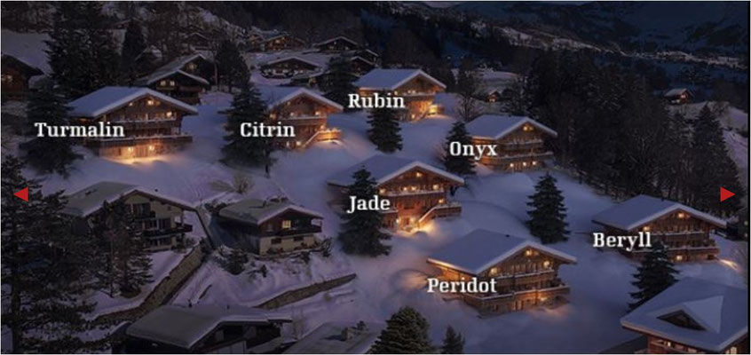 Haus Berner Oberland kaufen