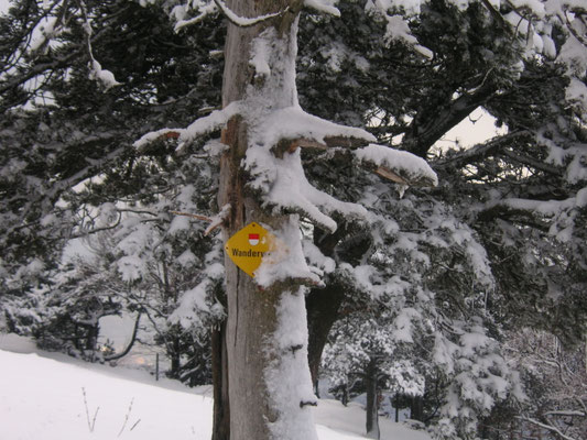 Jura Winterwanderungen