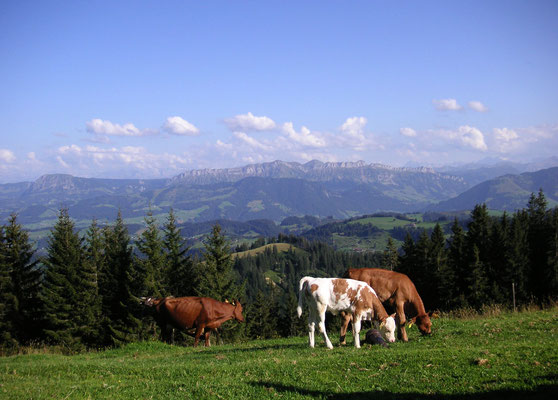 Wandern Emmental