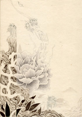 牡丹