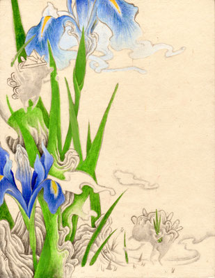 ショウブの花