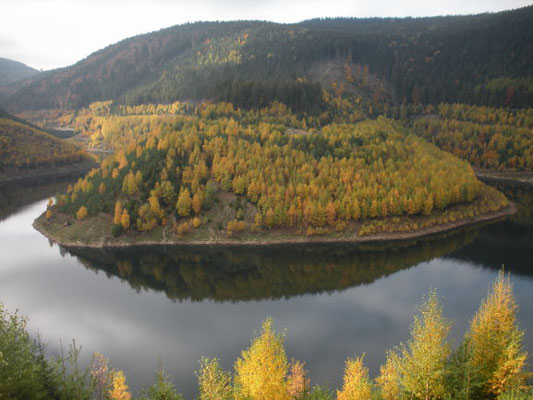 MTB Trail Talsperre Leibis/Lichte