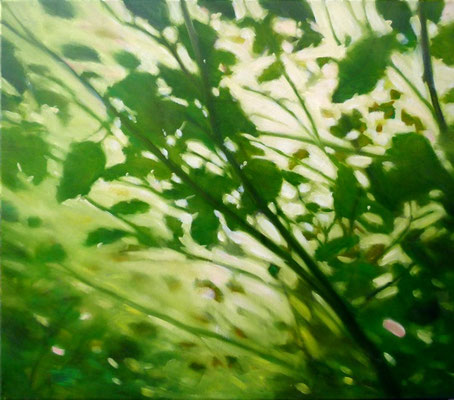 Landschaft 70x80cm