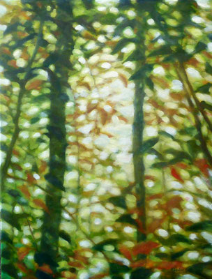 Wald 60x80cm