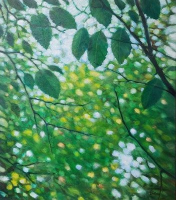 Landschaft 70x80cm