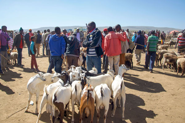 Visit of the weekly market in Suswa.