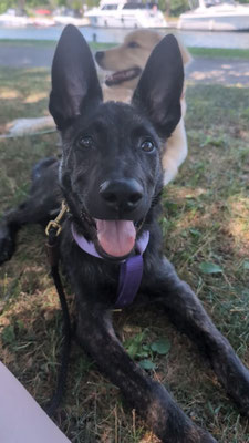 Anastaas mff / Fantus in Canada