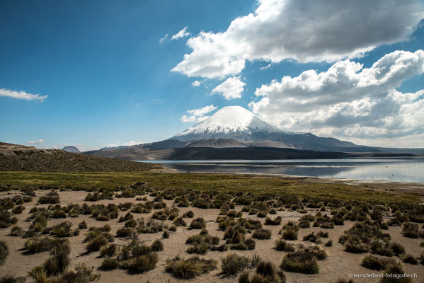 Laguna Chungara mit Blick auf den Vulkan Parinacota