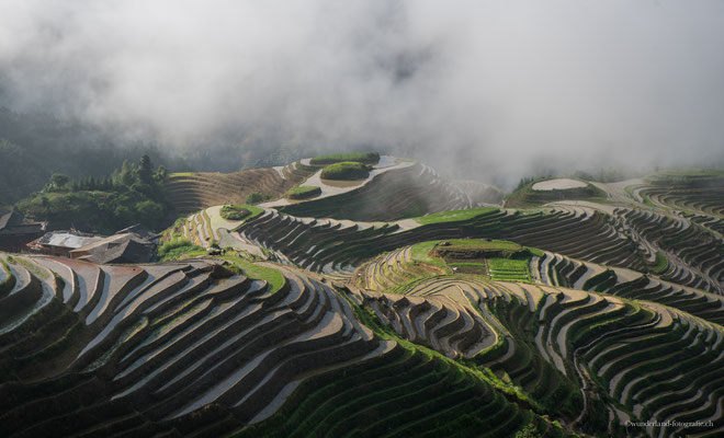 Longsheng Reisfelder bei Ping'an