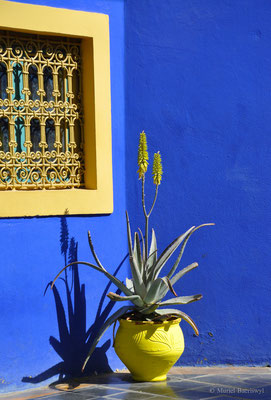 Jardin Yves Saint Laurent Marrakech