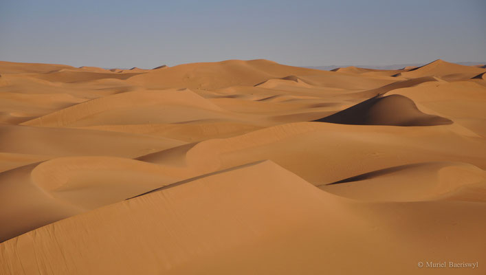 Wüste Marokko 