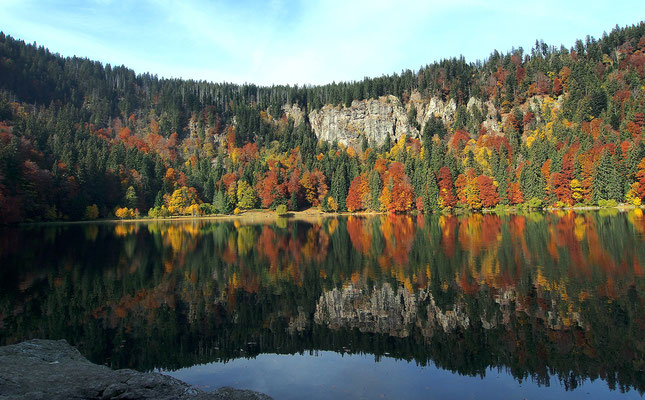 Herbst am Feldsee (Schwarzwald)