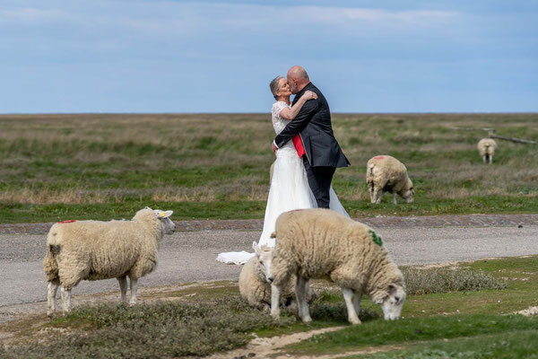Hochzeitsfotos am Leuchtturm Westerheversand in Mitten von Schafen