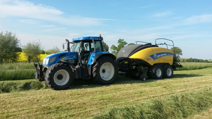 NEW HOLLAND