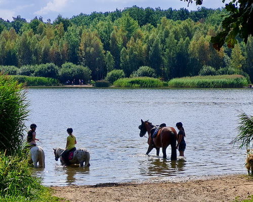 LuxOase, Westlausitz, Talsperre Wallroda