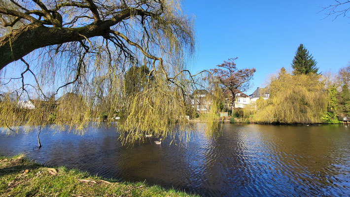 Immer an der Alster entlang...