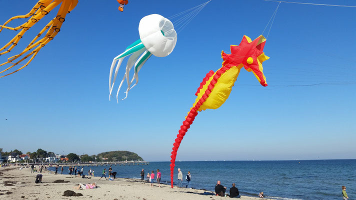 Drachenfest in Travemünde