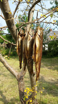 geräucherter Fisch: typisch, regional & lecker