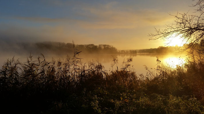 Bodennebel überm Eutiner See