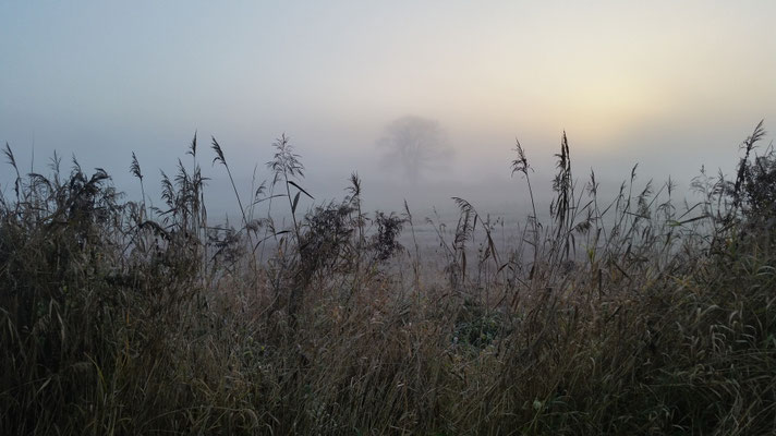 Sonnenaufgang im Herbst